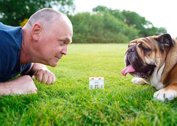 Man and dog looking at toy house on green grass in park