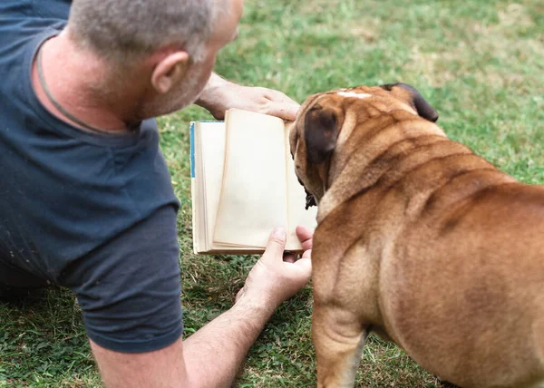 man reading book with a dog on the grass