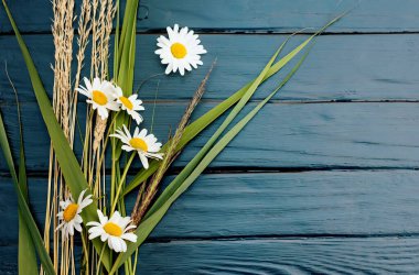 Çiçeksel gri arka plan ve papatya mili