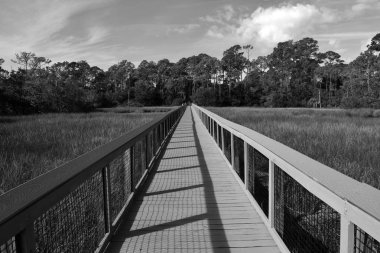 Boardwalk çaprazlanarak St Augustine, Florida, ABD bataklık