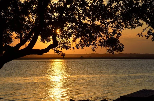 Belle Silhouette Coucher Soleil Sur Rivière Augustine Floride — Photo