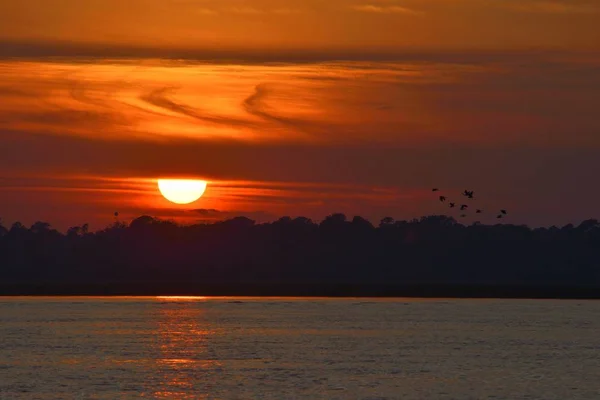 Majestueuse Silhouette Coucher Soleil Sur Rivière Augustine Floride — Photo