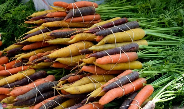 Fresh carrots sold at outdoor market place Florida, USA