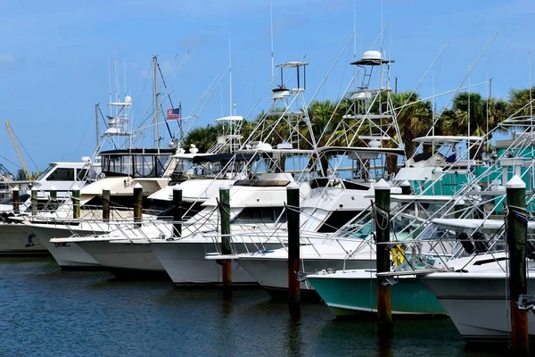 Bateaux Luxe Amarrés Marina Augustine Floride — Photo