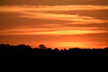 Siluet peyzaj Nehri St Augustine, Florida ile görkemli günbatımı