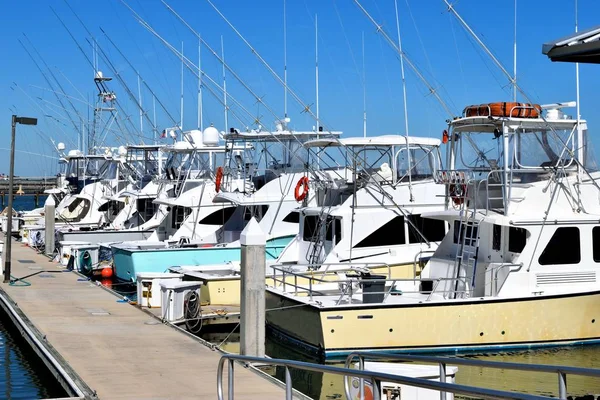Bateaux Pêche Sportive Amarrés Quai Marina Floride États Unis — Photo