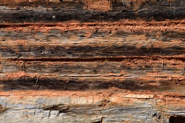 Gürcistan, ABD 'deki tarihi ahşap kulübe için Grunge ahşap duvar arka planı.