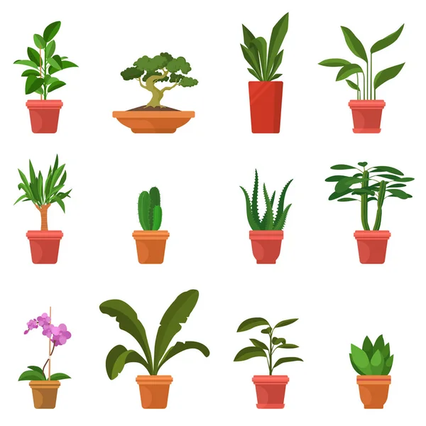 Pokojové rostliny vektorové ilustrace. Sada barevných pokojových rostlin v ploché kreslený styl. Zelené listy a květenství. Dekorační výrobky pro dům a zahradu. EPS 10. — Stockový vektor