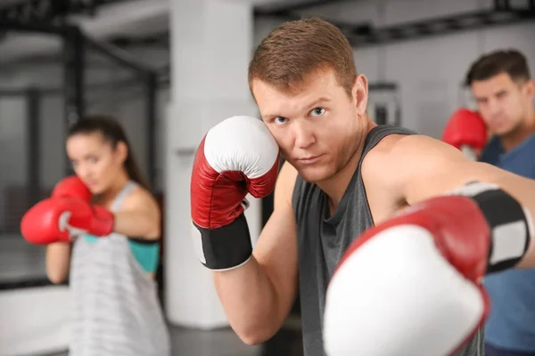 Mladý pejsek boxer trénink v tělocvičně — Stock fotografie