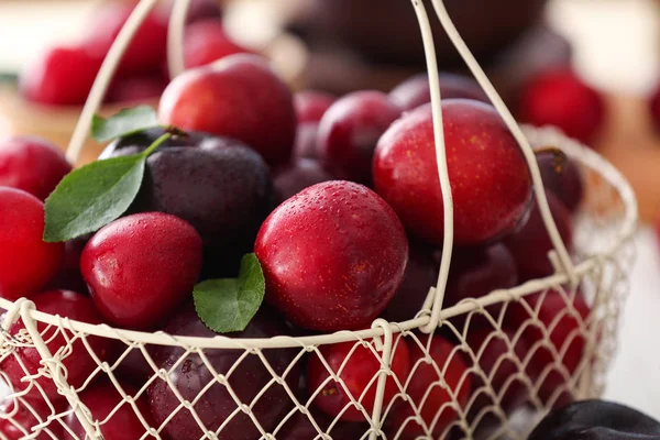 Metal Basket Ripe Juicy Plums Table Closeup — Stock Photo, Image