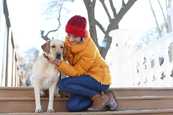 Mujer paseando lindo perro al aire libre en el día de invierno. Amistad entre mascota y dueño — Foto de Stock