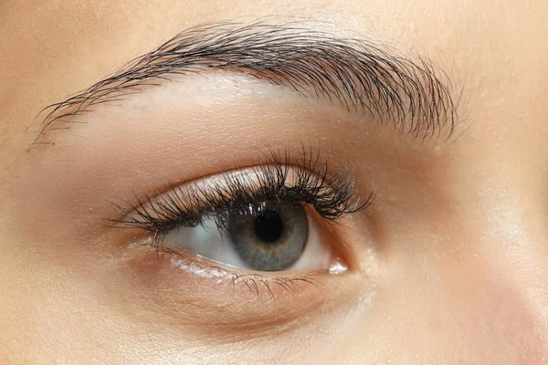 クローズ アップ自然な眉毛を持つ若い女性 — ストック写真