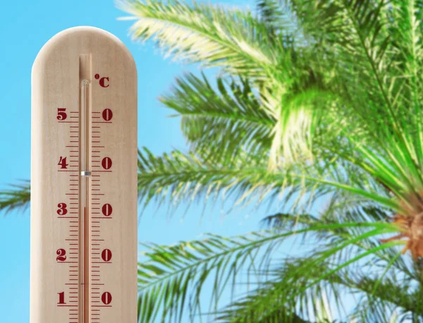 Thermometer showing high temperature and sky with palm leaves on background. Hot summer weather