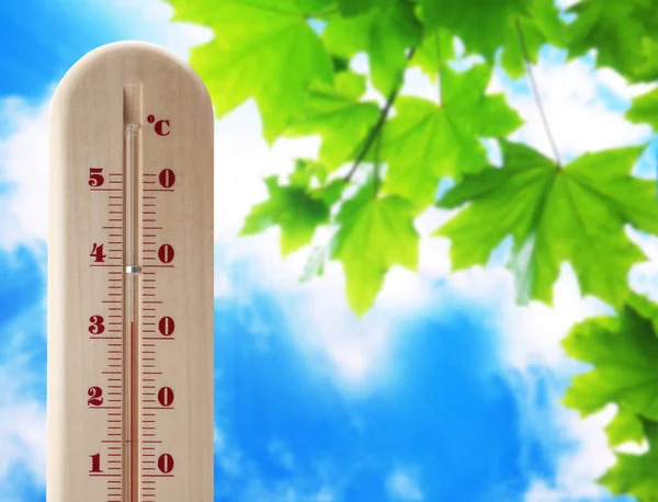 Thermometer showing high temperature and sky with green leaves on background. Hot summer weather