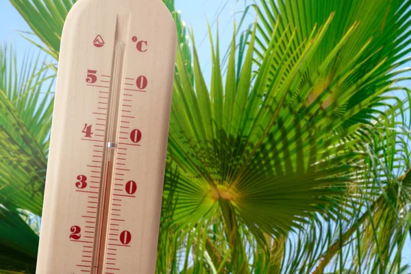 Thermometer Mit Hohen Temperaturen Und Himmel Mit Palmblättern Hintergrund Heißes — Stockfoto