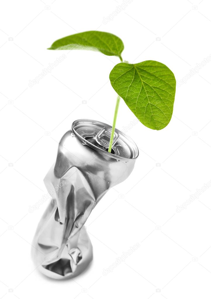 Plant growing out of crumpled can on white background. Recycling concept. Save nature and environment