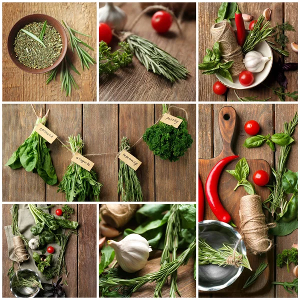 Set with aromatic rosemary, vegetables and other herbs — Stock Photo, Image