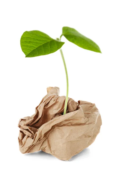 Plant Groeit Uit Verfrommeld Papier Witte Achtergrond Verwerkingsconcept Opslaan Van — Stockfoto