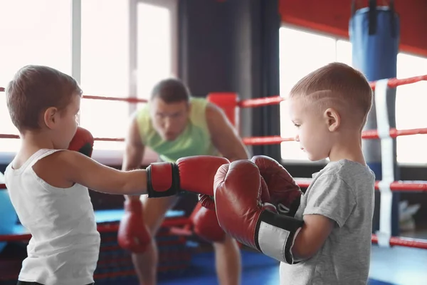 Little boys fighting in boxing ring — Stock Photo, Image
