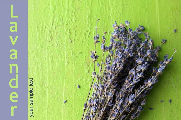 Слово Lavender Цветы Цветном Фоне — стоковое фото