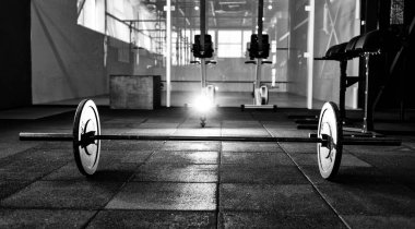 Halter salonunda katta