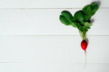 Bir taze organik kırmızı radishe üst ve yeşil yaprak Beyaz ahşap zemin üzerinde. Sebze arka plan. Metin, en iyi görünüm için boş alan