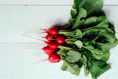 Taze organik kırmızı radishe üstleri ve beyaz ahşap zemin üzerine yeşil yaprakları ile demet. Sebze arka plan. Metin, en iyi görünüm için boş alan