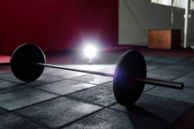 Halter salonunda katta