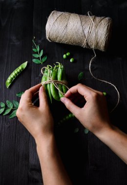Kadınların elleri üzerinde taze bakla yeşil bezelye grup üzerinde bir ip bağlayan ahşap arka plan siyah. Biyo sağlıklı gıda