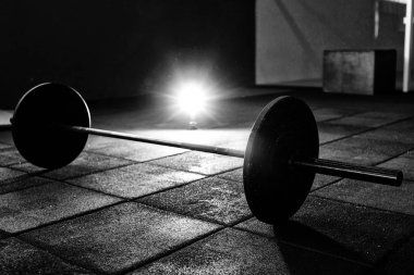 Halter salonunda katta