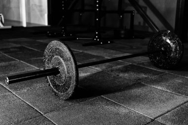 Halter salonunda katta