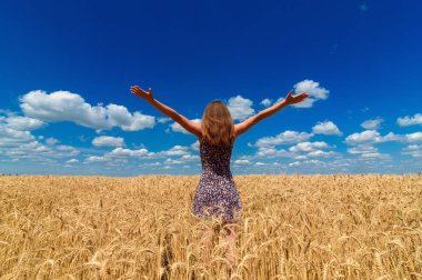 Arkadan görünüm içinde altın buğday alanı bulutlu gökyüzü mavi arka plan, boş alan ile yürüyüş güzel genç kadın. Özgürlük, barış zihin sağlık kavramının. Kız Olgun buğday alan Kaldır ellerini altında mavi gökyüzü arka plan ile sivri