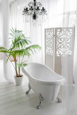 Güzel lüks banyo Interio, boş alan büyük penceresinde yakınındaki vintage boş küvet. Katlama perde ve palmiye ağacı, kopya alanı yakınında duran beyaz banyo 