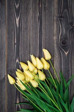 Lale çiçek, kopya alanı Grup ile bahar arka plan. Ahşap zemin üzerine sarı laleler. Düz yatıyordu, en iyi görünüm. Sevgililer günü, Woman's Day (8 Mart, anneler günü, Paskalya için tatil tebrik kartı