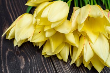 Lale çiçek, kopya alanı Grup ile bahar arka plan. Buket Sarı Lale çiçek ahşap arka plan üzerinde. Kadının gün (8 Mart), Sevgililer günü, anneler günü, Paskalya için tatil tebrik kartı