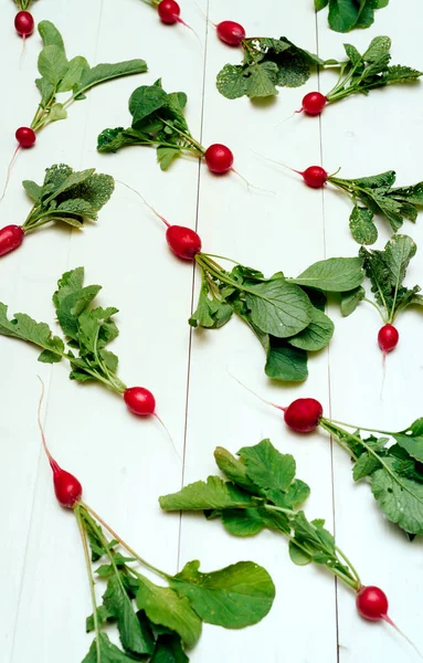 Rabanetes Vermelhos Orgânicos Frescos Com Topos Folhas Verdes Sobre Fundo — Fotografia de Stock