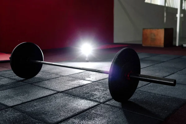 Halter salonunda katta