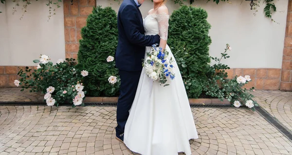 Menyasszony Vőlegény Átfogó Rózsabokor Szabadban Közelében Vőlegény Esküvői Ruha Menyasszony — Stock Fotó