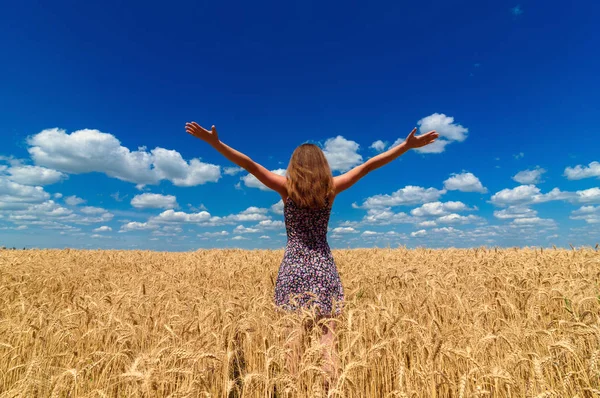 Visão Traseira Bela Jovem Vestido Andando Campo Trigo Dourado Com — Fotografia de Stock