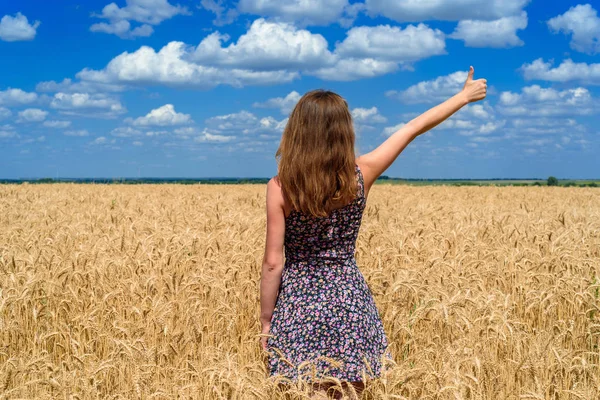 Back view of beautiful young woman in dress walking in golden wheat field and pointing one finger up gesture, free space. Liberty, peace of mind concept. Girl in spikes of wheat field under blue sky