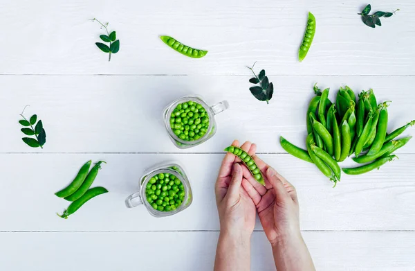 Woman's hands holding green peas in pod on white background near pods of green peas and peas in glass jars, close-up