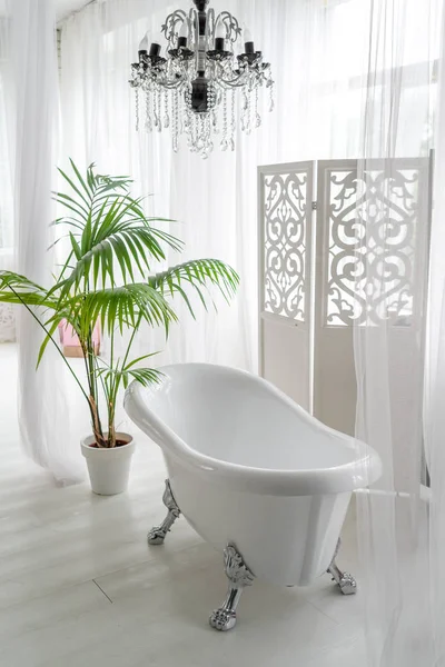 Beautiful luxury vintage empty bathtub near big window in bathroom interio, free space. Freestanding white bath near folding screen and palm tree, copy space