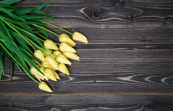 Fundo Primavera Com Monte Flores Tulipa Espaço Cópia Tulipas Amarelas — Fotografia de Stock