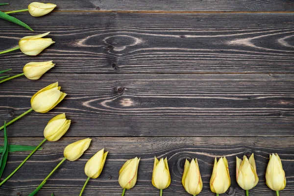 Flores Amarelas Tulipa Fronteira Sobre Fundo Madeira Fundo Primavera Com — Fotografia de Stock