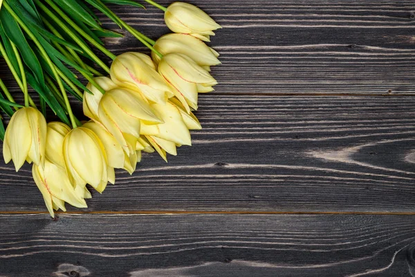 Fundo Primavera Com Monte Flores Tulipa Espaço Cópia Tulipas Amarelas — Fotografia de Stock