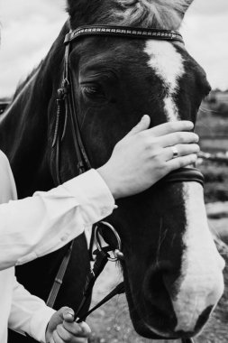At tarafından dizginleri tutan ve namlu outdors okşayarak adamım, yakın çekim