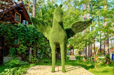 Pegasus figürü yeşil çim çimen parkta, boş alan yapılmış. Yeşil çimen çiçek pegasus, peyzaj tasarımı kaplı. Çimen Şekil, pegasus, çiçek şekil