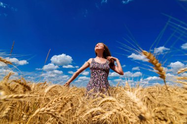 Bulutlu gökyüzü mavi arka plan, kopya alanı ile altın buğday alanında güzel mutlu genç kadın. Kız Olgun buğday alan mavi gökyüzü altında tırmanıştır 
