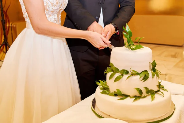 Menyasszony Vőlegény Vágás Elegáns Fehér Több Szintű Esküvői Torta Díszített — Stock Fotó