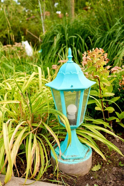Decorative small blue garden light in green grass, copy space. Lantern in flower bed. Garden design, free space